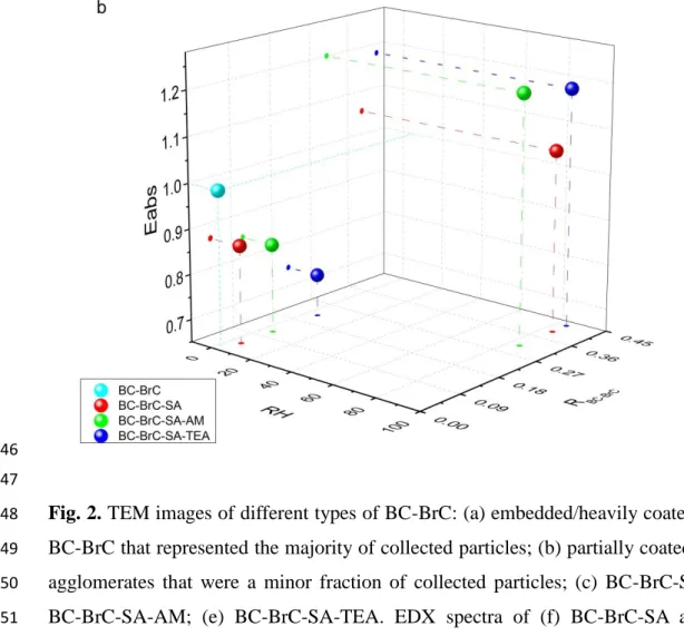 Fig. 2. TEM images of different types of BC-BrC: (a) embedded/heavily coated fresh 