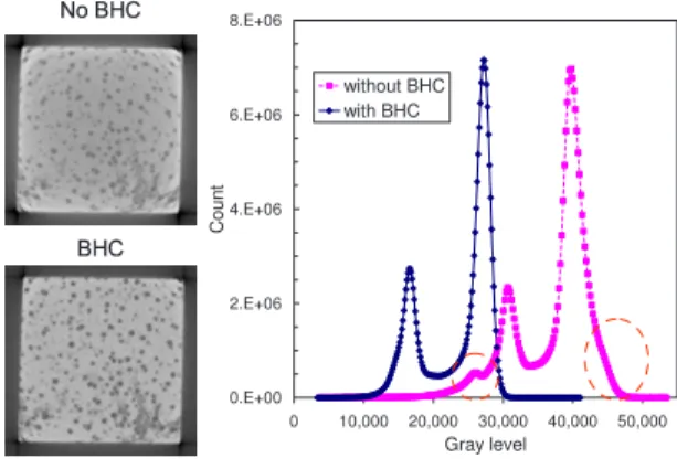 Fig. 7 Illustration of beam hardening affecting image reconstruction.