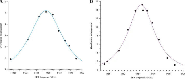 Fig. 5. Rate of product formation in bronchoalveolar lavages from un- un-challenged mice and mice infected by Pseudomonas aeruginosa (P.A.) for 24 h.