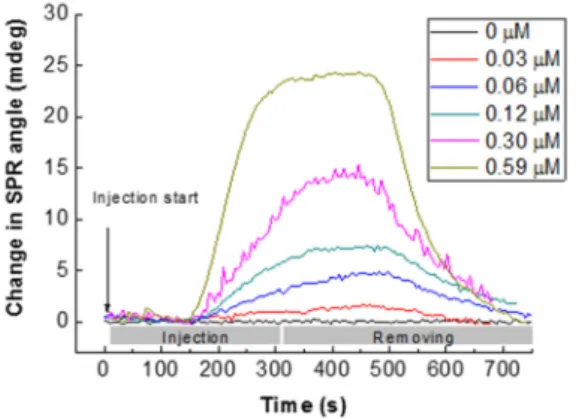 Figure 10. Typical sensorgrams of glyphosate sorption onto CS/ZnO SPR sensors for glyphosate  concentration from 0 to 0.59 μM (dead time corresponds to around 156 s between injection and the  cell output)