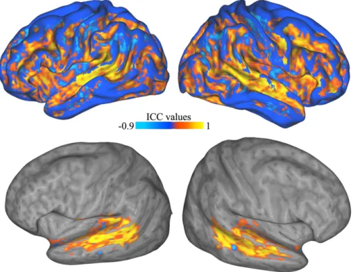 Fig. 5.Test–Retest reliability. Intra-class correlation (ICC) coefﬁcients obtained from the test–retest analysis of ten individual subjects projected onto the standard inﬂated cortical surface generated by Caret (Van Essen et al., 2001) and mapped in color