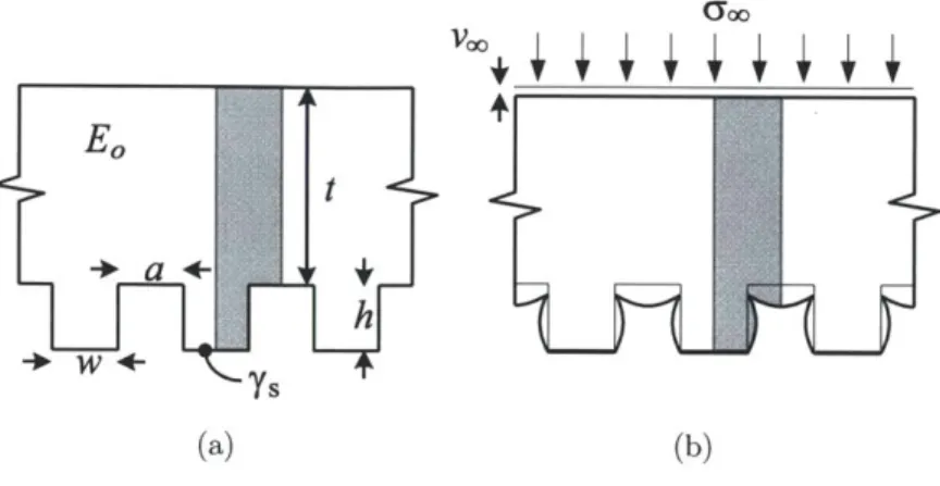 Figure  3-2:  Stamp  geometry  and  feature  dimensions.  (a)  Cross  section  of nominal stamp  configuration,  labeled  with  characteristic  dimensions  and  material  properties.