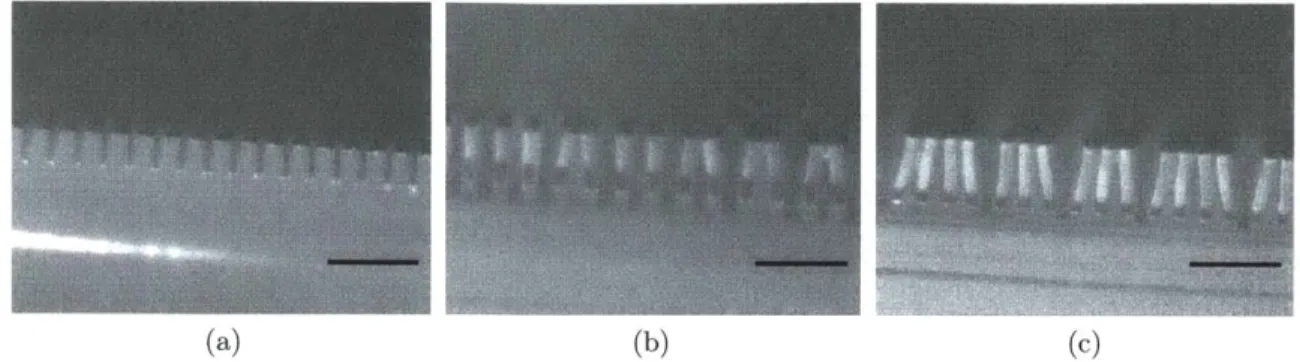 Figure  3-6:  Micrographs  of  lateral  feature  collapse  showing  (a)  stability  (w=20[tm, a=10pm,  h=30pm), (b)  onset  of collapse  (w= 2 0pm,  a=16pm,  h=54ptm), and  (c)  full collapse  with  a  high  mode  number(w=20pm,  a=10pm,  h=77pm)