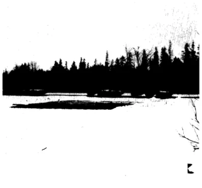 FIGURE  8  View  of  ice-dusting site  &#34; A f 1   Rurrittls  Rapids,  5  March  1963