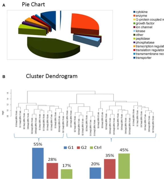 Figure 7: (A) La classification fonctionnelle des protéines a révélé que les enzymes et les cytokines  