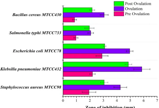 Figure 18: Activité antimicrobienne de la salive pendant les trois phases du cycle menstruel