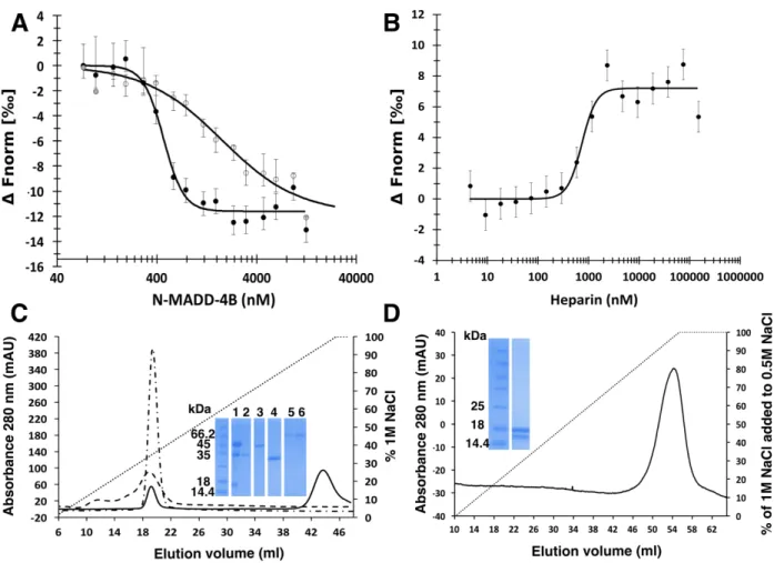 Figure 5. Heparin challenges the N-MADD-4B interaction with NLG-1. A, Binding of N-MADD-4B (73  nM to 12.5 µM) to labelled NLG-1 (35 nM) (filled circles) is compromised in the presence of heparin (250  µM) (empty circles)