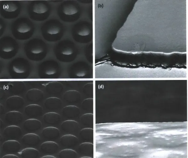 Figure  3.4:  Scanning  electron  micrographs  of (a)  the  SU-8  master  mold,  (b)  a corner  of the  transfer  pad  parallelogram  mesa  with an  organic  film  and  a gold  film  evaporated  on top,  (c)  the  cavity-patterned  PDMS  spacer  layer  of 