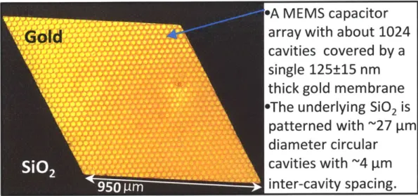 Figure  6.1:  Optical  microscopy  image  of a  -0.8mm2  area  gold  membrane  MEMS  device printed  on  silicon  dioxide  using  the acetone-assisted  contact-transfer  process.