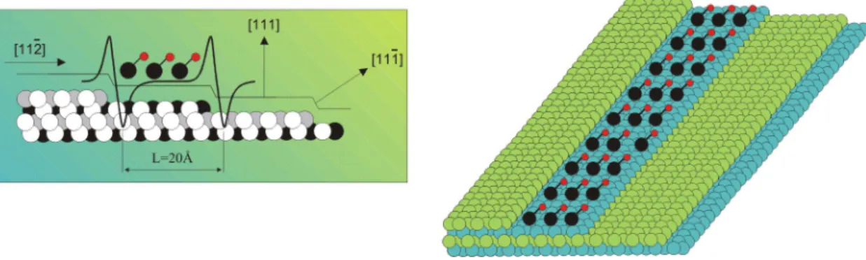 Figure 1.4 – Confinement de mol´ ecules sur une surface vicinale de platine.