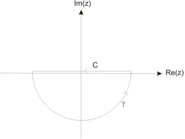 Figure 2.2 – Contours C et γ dans le plan complexe.