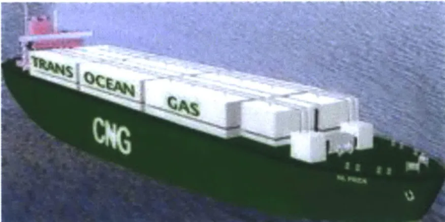 Figure 10: Trans Ocean  Gas CNG  Carrier