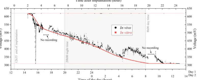 Fig. 6 shows the resulting open circuit voltage of the  BFC recorded in vivo (black curve), compared to the in  vitro one (red curve)