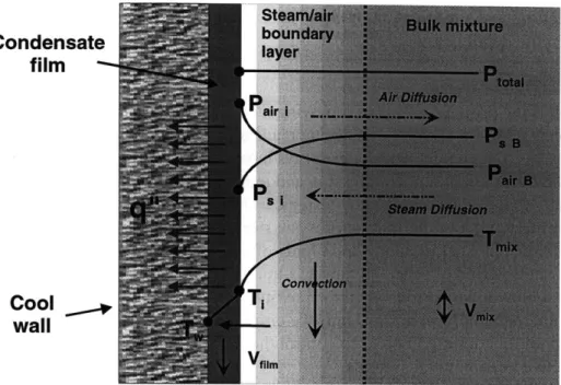 Figure 1-1:  Condensation  in the presence  of air on a vertical wall