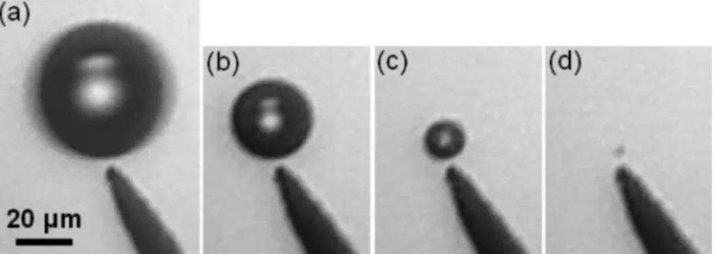 FIG. 2. Immobilized bubble, slowly decreasing with time (V m ¼ 3.43 V,  ¼ 1000 Hz): t ¼ 0 (a), t ¼ 2 min 6 s (b), t ¼ 3 min 55 s (c) and t ¼ 4 min 33 s (d)