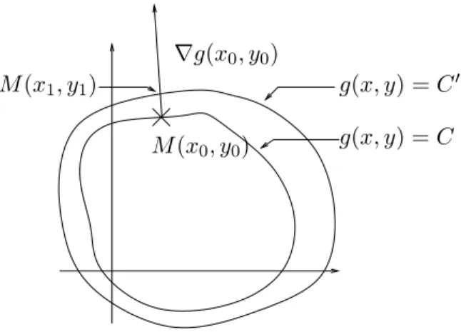 Fig. 2.8. Deux surfaces de niveau g(x, y) = C et g(x, y) = C  avec C &lt; C  . Démonstration.