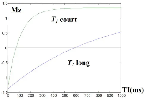 Figure 2.1 : Evolution de l’aimantation pour deux T 1  lors d’une séquence inversion-récupération