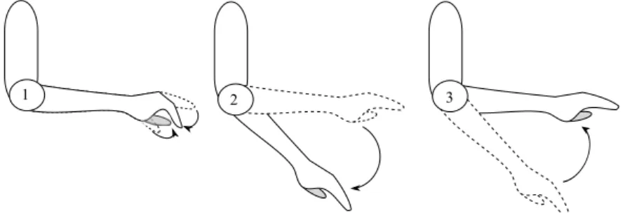 Figure 6: Example of the gesture sequence to be performed in order to trigger a triple loop command.