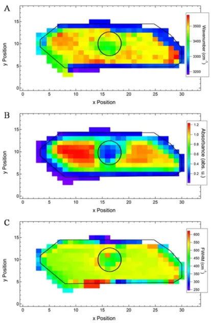 Figure 2. Infrared raw maps of the fluid inclusion at two specific wavenumbers. 