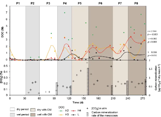 Figure  4:  Evolution  of  DOC  (circle),  gaseous  CO 2   in  mesocosm  atmosphere  (cross)  and  carbon  mineralization rate of the mesocosm (bar), measured at the end of periods P3–P8