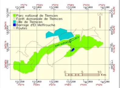 Figure 1. Carte de situation de la foreet de Tlemcen 