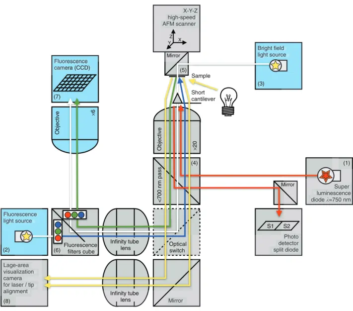 Figure 1 | Schematic of the integrated HS-AFM–OM hybrid setup. The essential elements integrated are: a 750 nm SLD for cantilever position detection (1), two light microscopy sources (2 and 3), a 700-nm low-pass beam splitter (4), a miniaturized mirror sam