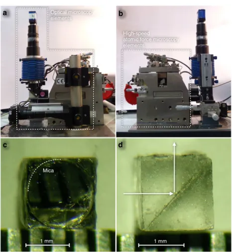 Figure 2 | Integrated HS-AFM–OM hybrid setup and the miniaturized mirror sample support