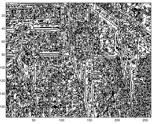 Fig. 6 – Bords de l’image Gatlin2 donnés par le détecteur de Hildrett-Marr