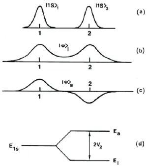 Figure 1.9 : Orbitales atomiques et niveaux d’énergie [1]
