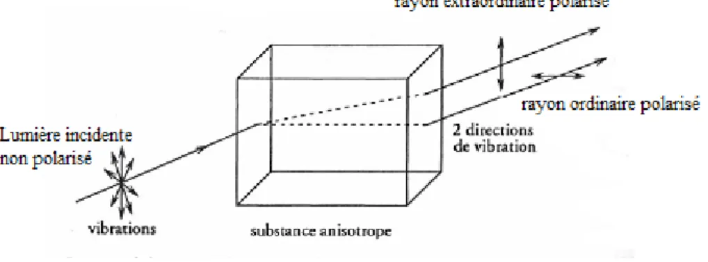 Figure I.2. Biréfringence ou double réfraction induite par un scintillateur «substance  anisotrope » [8] 