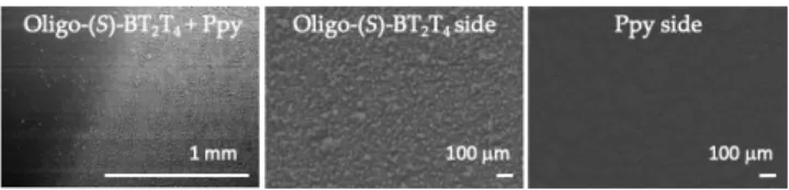 Figure 1. Top view SEM images of the freestanding hybrid film. A) Junction between the oligo-BT2T4  modified part (right) and the unmodified Ppy (left)
