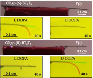 Figure 3. Bipolar enantioselective electrooxidation in 0.2 M LiClO4 of L- and D-DOPA (5 mM) on the  surface of oligo-(S)-BT2T4 and oligo-(R)-BT2T4 deposited on Ppy
