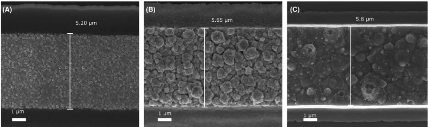 FIGURE 11  (A) Top-view SEM picture of a Ni plated line. (B) Top-view SEM picture of a Ni/Au plated line