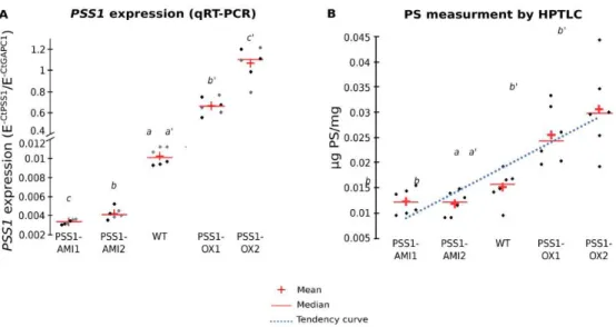 Fig. S2. Characterization of transgenic lines with graded phosphatidylserine levels. A, qRT- qRT-PCR  analysis  of  PSS1  expression  in  WT,  PSS1-AMI1,  PSS1-AMI2,  PSS1-OX1  and  PSS1-OX2