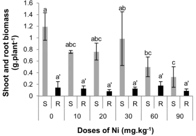 Fig. 1. Shoot (grey bars) and root (black bars) biomass (g plant 1 ) of lentils in relation to Ni additions (mg kg 1 )