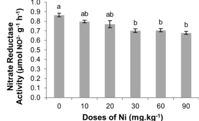 Fig. 5. Variation of the nitrate reductase activity in the fresh leaves ( m mol NO 2  g 1 h 1 ) of lentils grown on soil contaminated with Ni