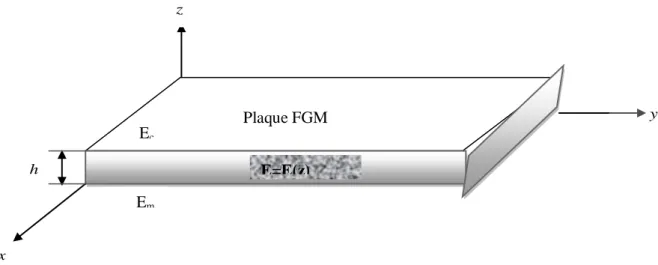 Figure I.5 : Géométrie d’une plaque en FGM 