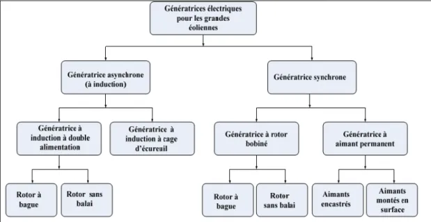 Fig. 2.2 Classification des génératrices électriques couramment utilisées dans les grandes éoliennes