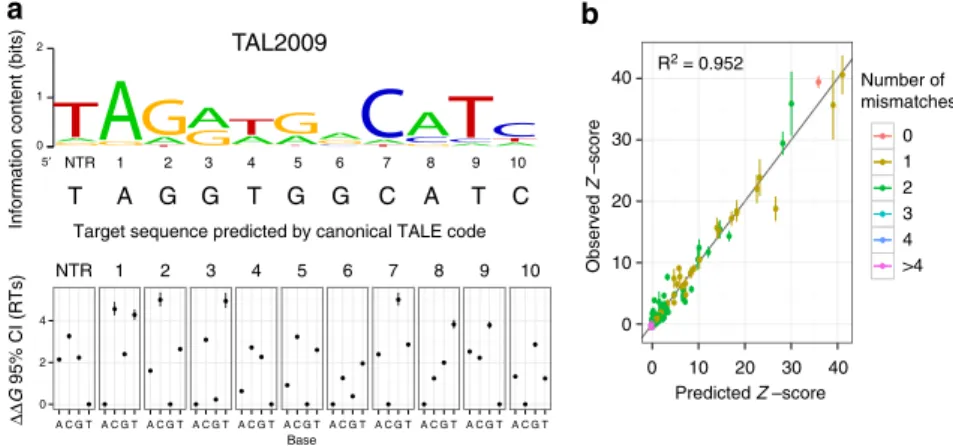 Figure 2 | Determining PWMs from custom-designed PBMs. (a) Representative logo and DDG estimates