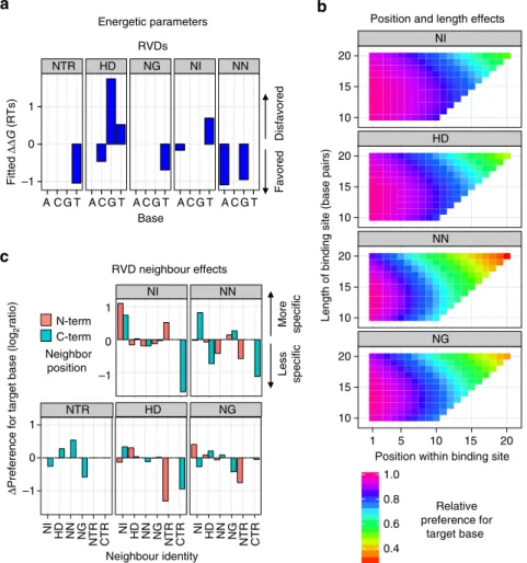 Figure 5 | Protein features that affect repeat speciﬁcity. (a) RVD identity. DDG values from the model are indicated for each repeat type with each base.