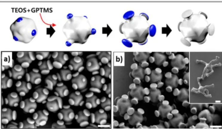 Figure 13 Left: schematic illustration of the formation of six silica patches on hematite  cubes in pentanol