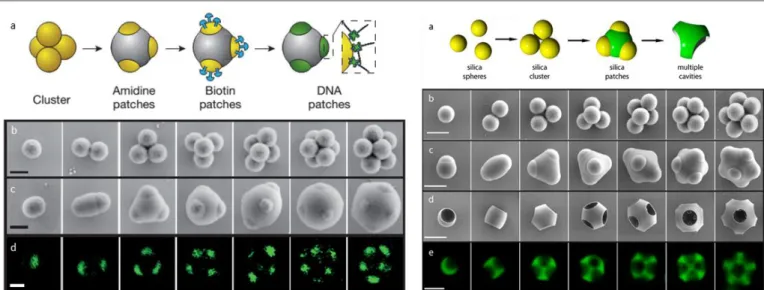 Figure  15 Left:  fabrication  of  DNA-based  patchy  PS  particles.  a)  Synthesis  route