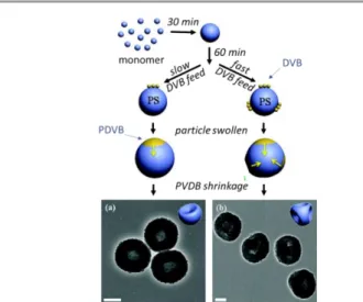 Figure 17 Conversion of silica/PS CMs into silica particles with patches simultaneously  enthalpic  and  entropic:  a)  synthesis  route;  b)  STEM-EDX  mapping  evidencing  the  presence  of  PS  residue  at  the  bottom  of  the  dimples;  TEM  images  o