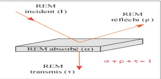 Figure I.10 :  Interactions du rayonnement électromagnétique avec la matière - absorption, réflexion, transmission