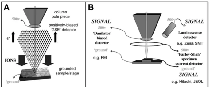 Figure I.2.b.  Schéma illustrant (A) le processus d'amplification (B) détecteurs d'électrons  secondaires à gaz (GSE) utilisables dans le microscope à balayage à pression variable et dans le 