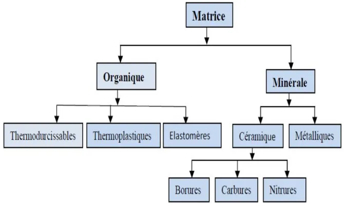 Figure I. 2. Différentes familles des matrices (Elmeiche 2013) 