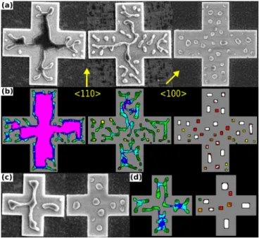 FIG. 2. (a) SEM images of a cross motif with 10 lm side length after differ- differ-ent stages of dewetting