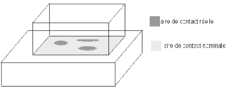 Fig. I-14 : Aires de contact nominal et réel pour deux surfaces en contact possédant une  ondulation