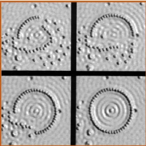 Fig. I.6 : un cercle d'atomes de fer déposés sur du cuivre à l'aide du microscope à effet  Tunnel