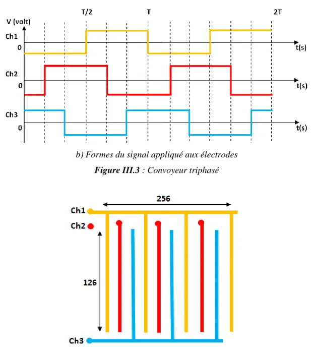 Figure III. 4 : Schéma descriptif d’un convoyeur à trois phases avec la disposition des trois  signaux appliqués aux électrodes 